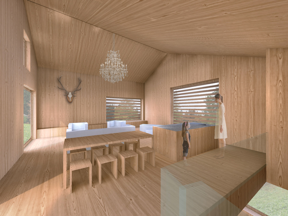 chalet, praz-de-fort, umbau, projekt