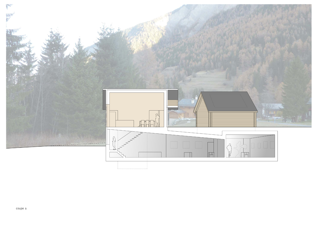 chalet, praz-de-fort, umbau, projekt