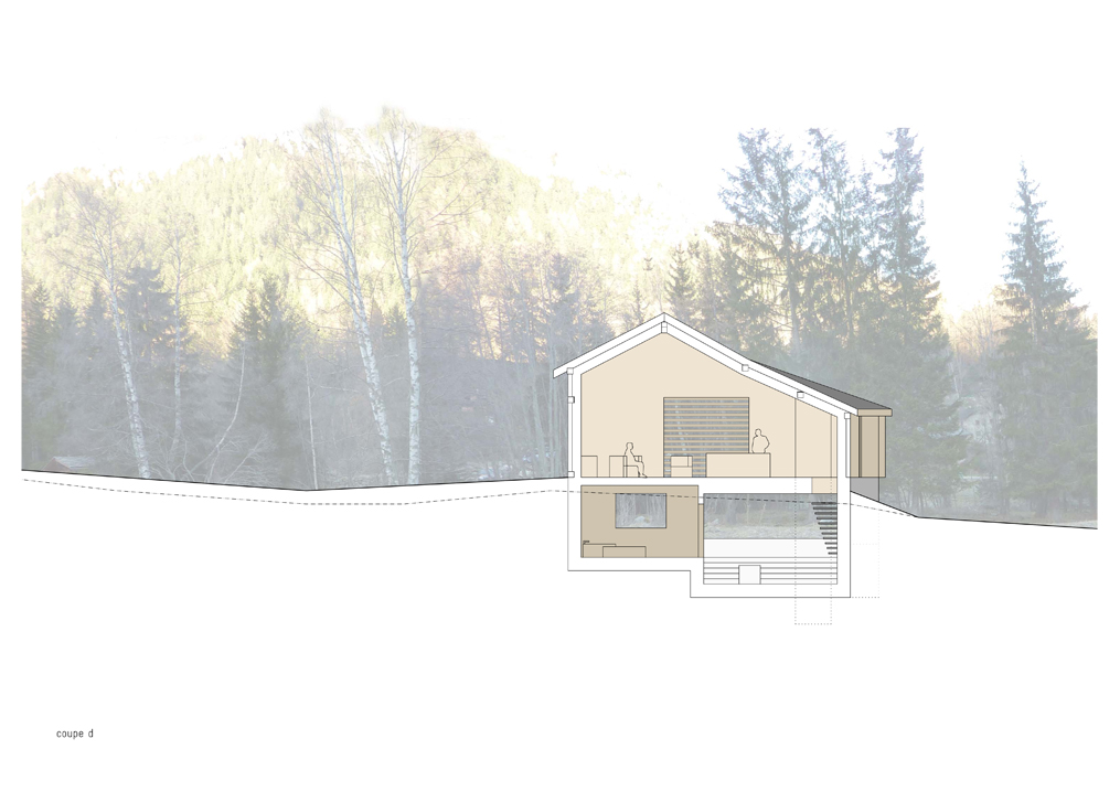 chalet, praz-de-fort, transformation, project