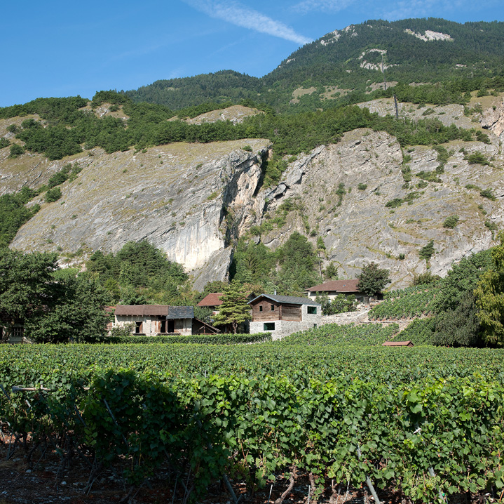 maison germanier, vétroz, transformation