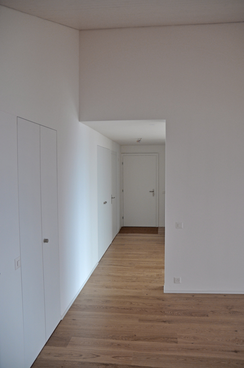 appartement, anzère, transformation