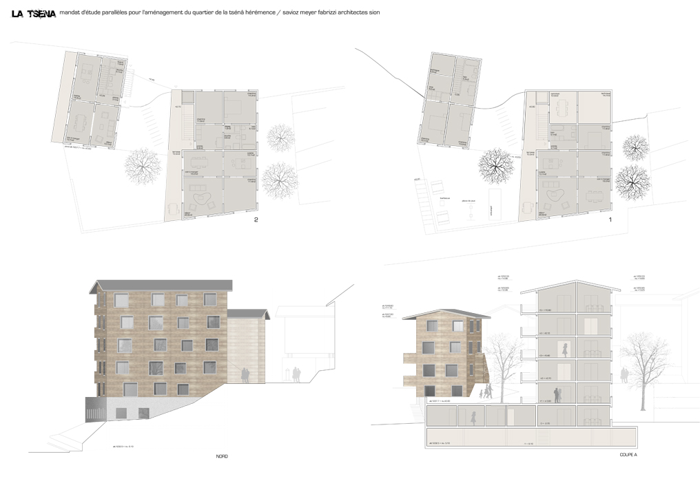 logements collectifs, hérémence, concours