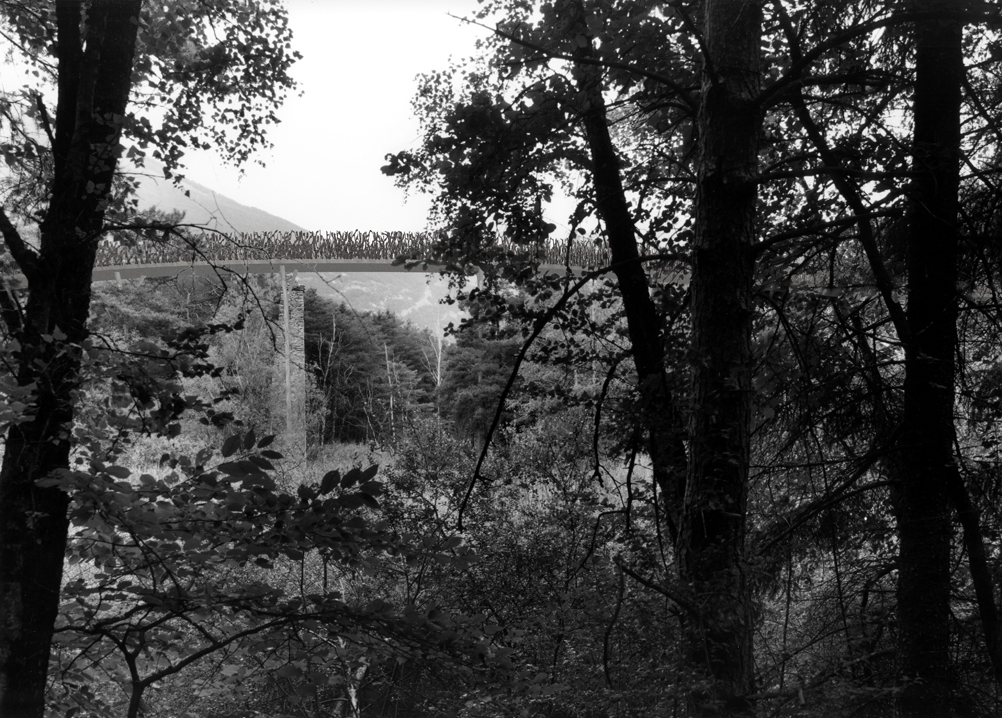 passerelle sur l'étang de grosssee, bois de finges, 2ème prix