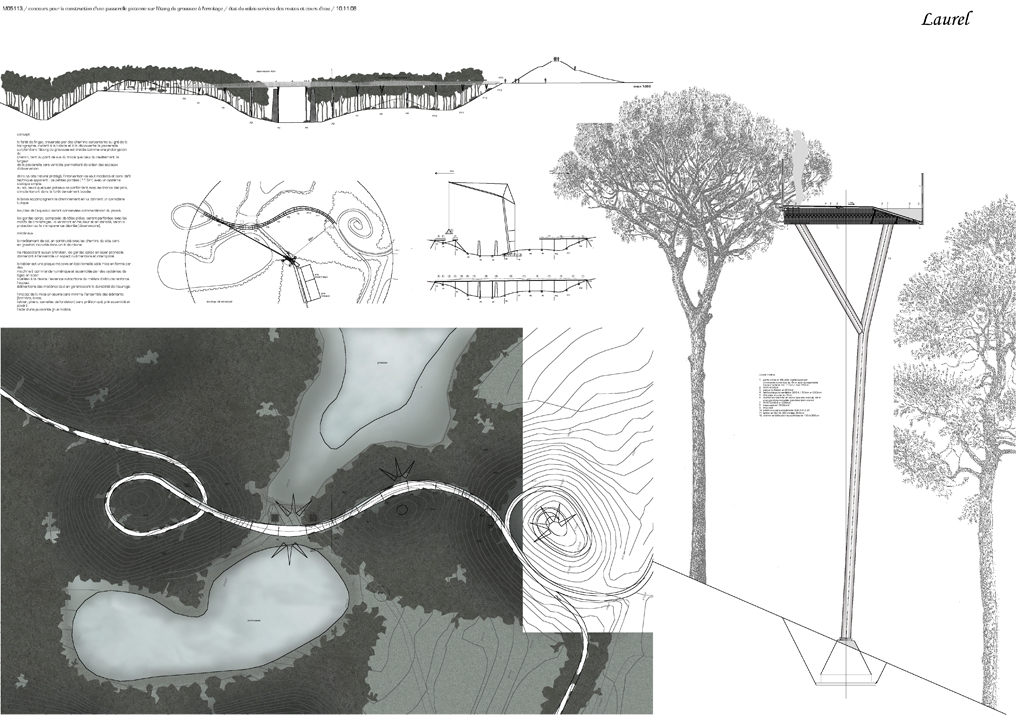 footbridge over the grosssee pond, pfyn forest, competition, 2nd place